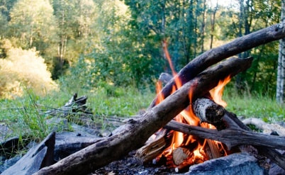 השריפה ביערות הכרמל - על הנזקים וההשלכות