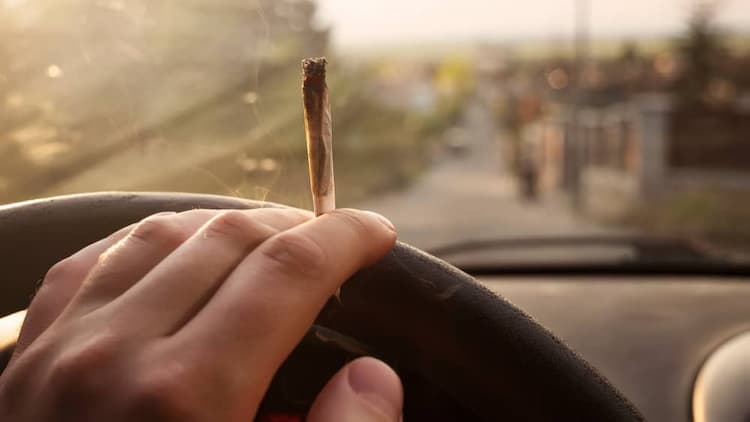 נהיגה תחת השפעת סמים: מדריך