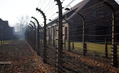 זכויות ניצולי השואה - מה קבע בית המשפט העליון?
